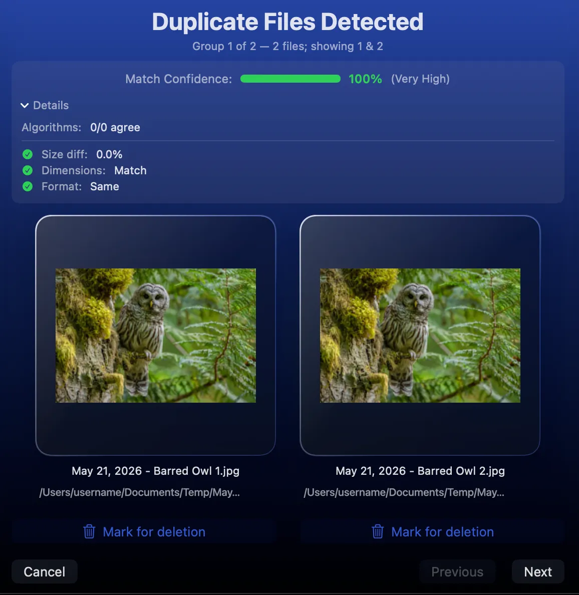 Archyv — Duplicate Detection