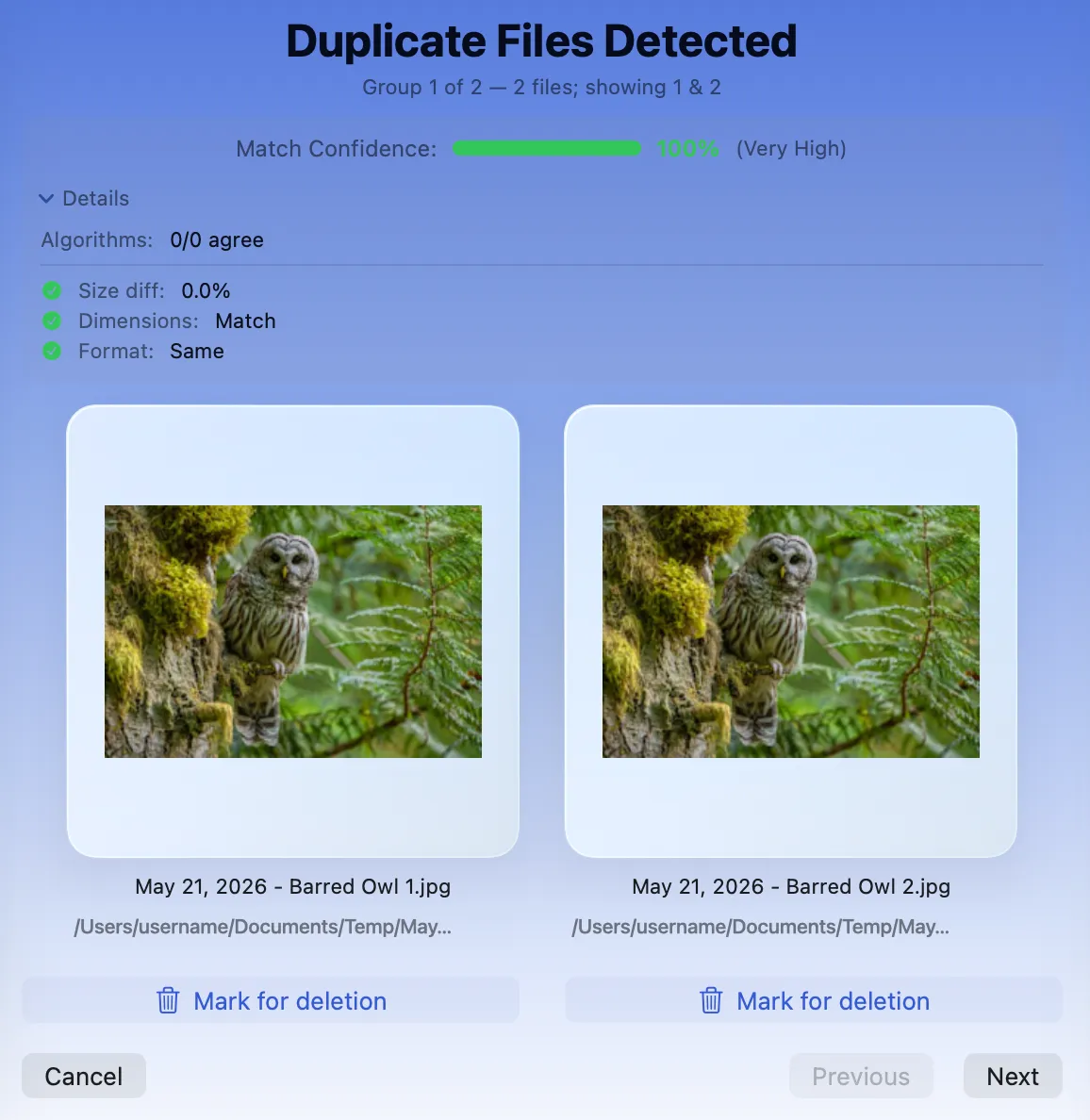 Archyv — Duplicate Detection